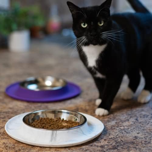 מבולגנים חתולים אחת סיליקון מזין עם נירוסטה צלחת בצורת קערה | אנטי להחליק ללא החלקה חתול מזון קערה/אחד